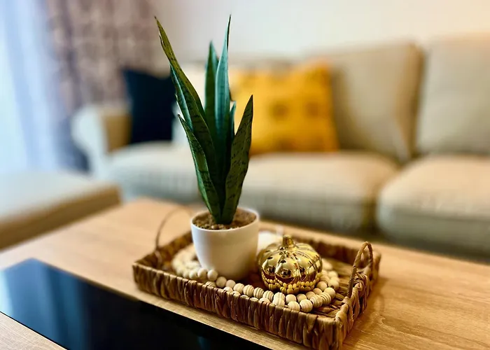 Casilla Bubo 아파트 코스타 데 안티과